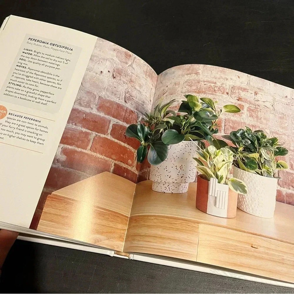 Houseplants For All: How to Fill Any Home with Happy Plants - Horst, Danae HC - Picture 6 of 6